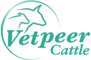 Vetpeer_Cattle